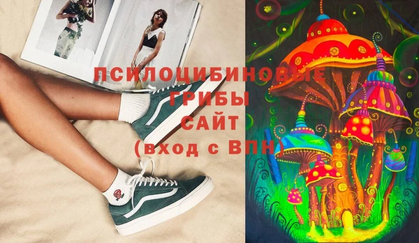 винт Вяземский
