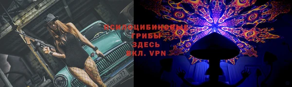 винт Вяземский