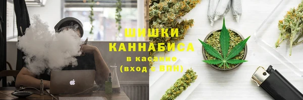 винт Вяземский