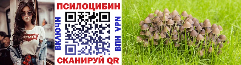 Псилоцибиновые грибы мицелий Покров
